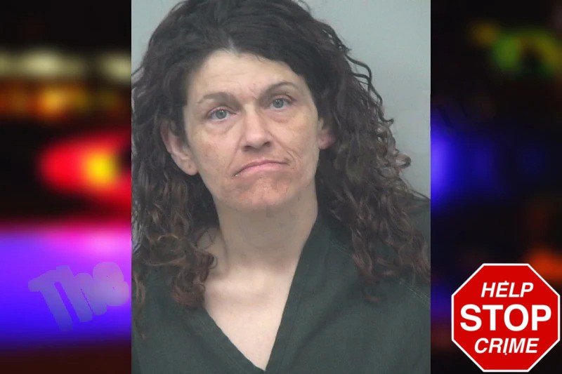 Heather Chambers mugshot