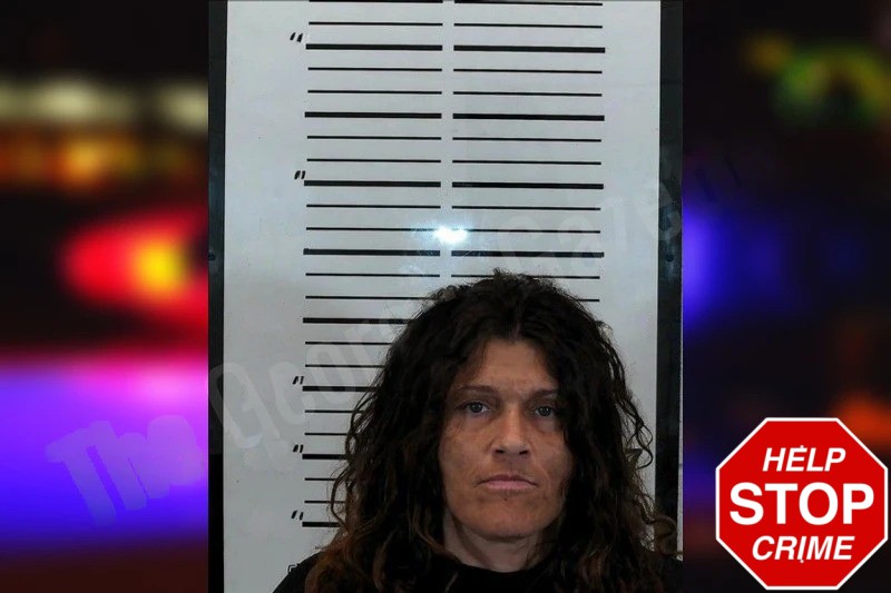 Heather Chambers Mugshots