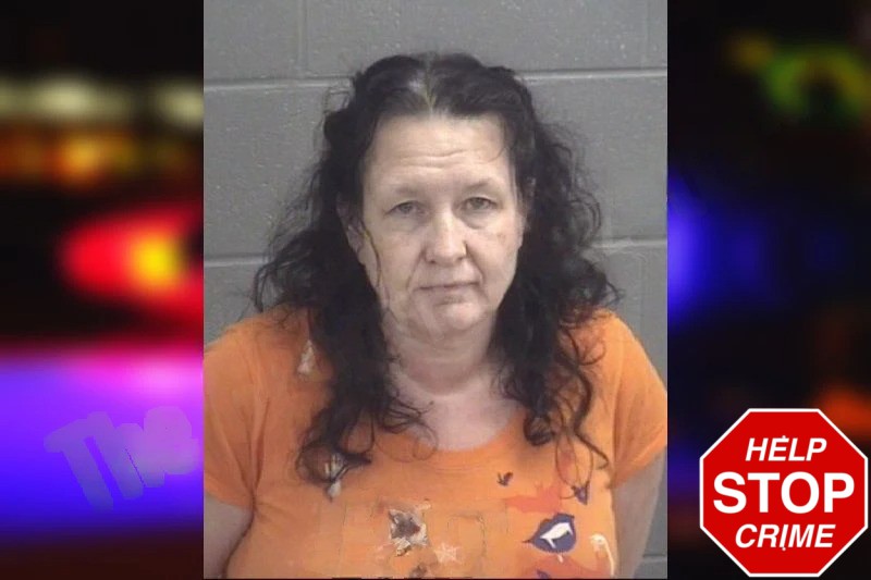 Heather French-Kelley Mugshots