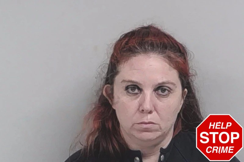 Heather Glisson Mugshots