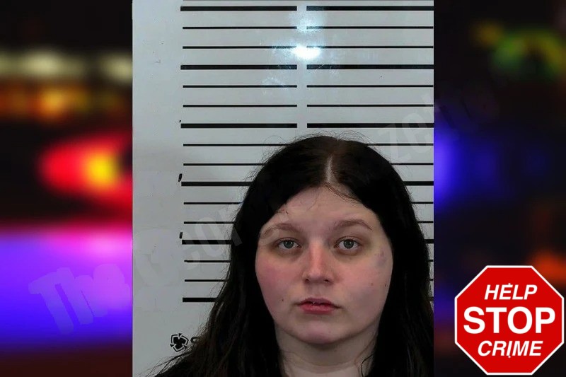 Heather Goins Mugshots