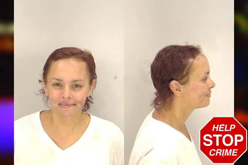 Heather Lewis Mugshots