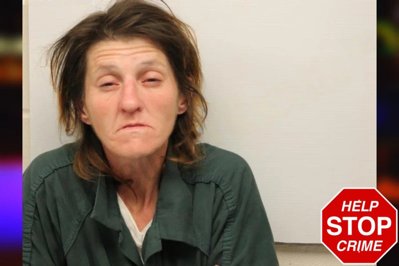 Heather McKenzie Mugshots