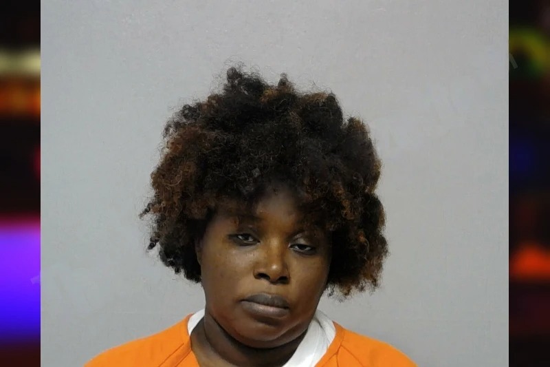 Heather Walls mugshot – Bibb County , Georgia Heather Walls mugshot