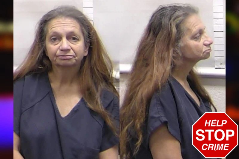 Heidi Anglemyer Mugshots