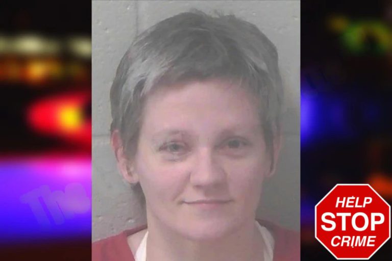 Hilary Adams mugshot – Newton County , Georgia Hilary Adams
