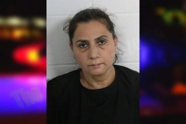 Hilda Cachona mugshot – Floyd County , Georgia Hilda Cachona