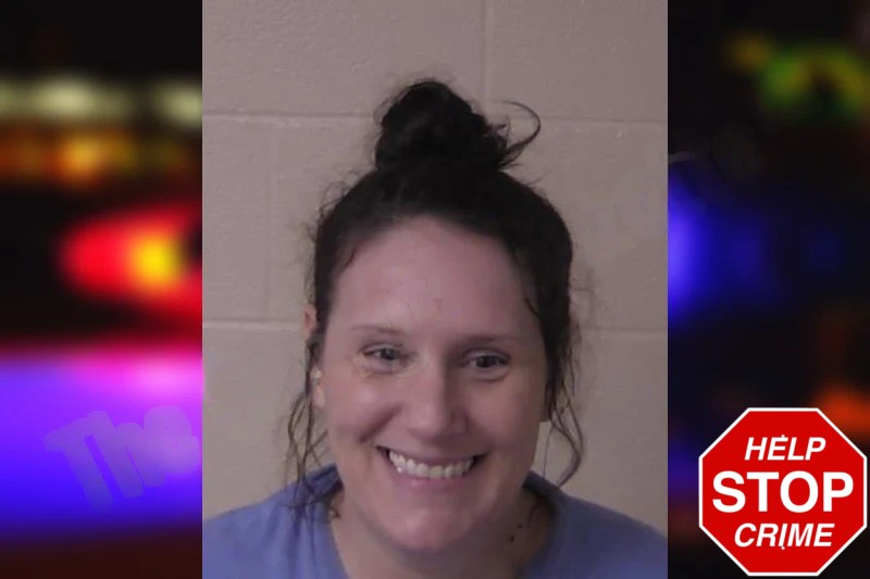 Hollie Fritz Mugshots