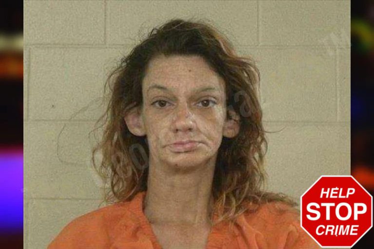 Hollie Messick mugshot – Liberty County , Georgia Hollie Messick