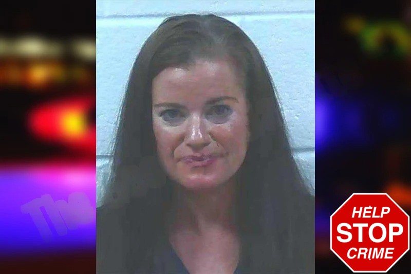 Hollie Schantz Mugshots