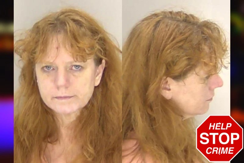 Holly Livernois Mugshots