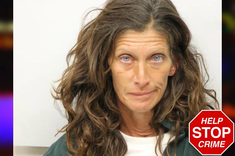 Holly Morgan Mugshots