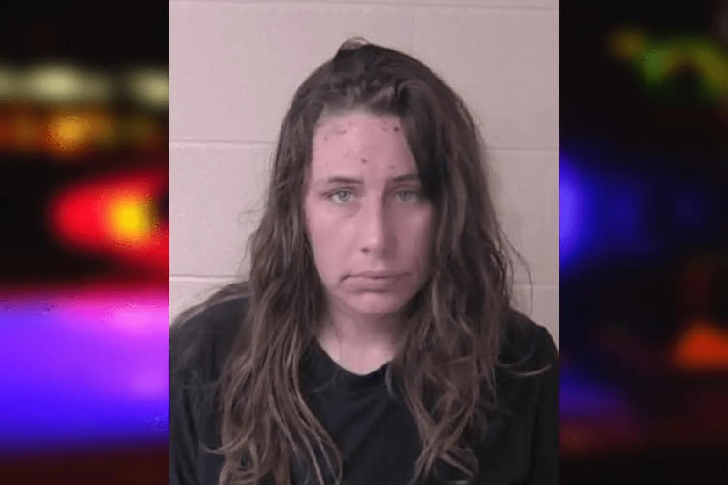 Holly Reeves Mugshots