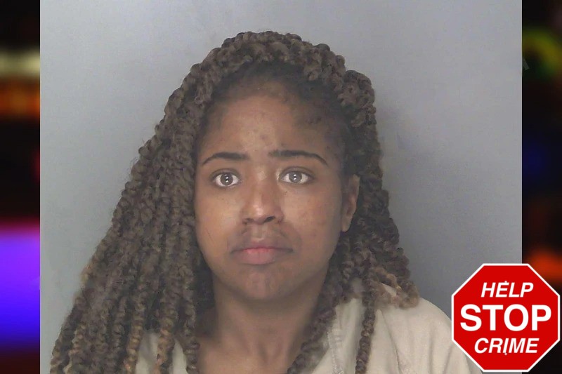 Ileia Johnson Mugshots