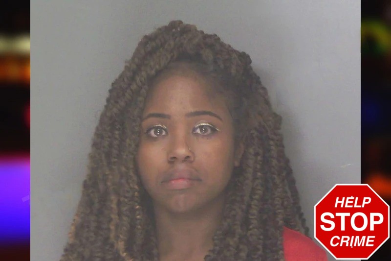 Ileia Johnson mugshot – Douglas County , Georgia Ileia Johnson mugshot