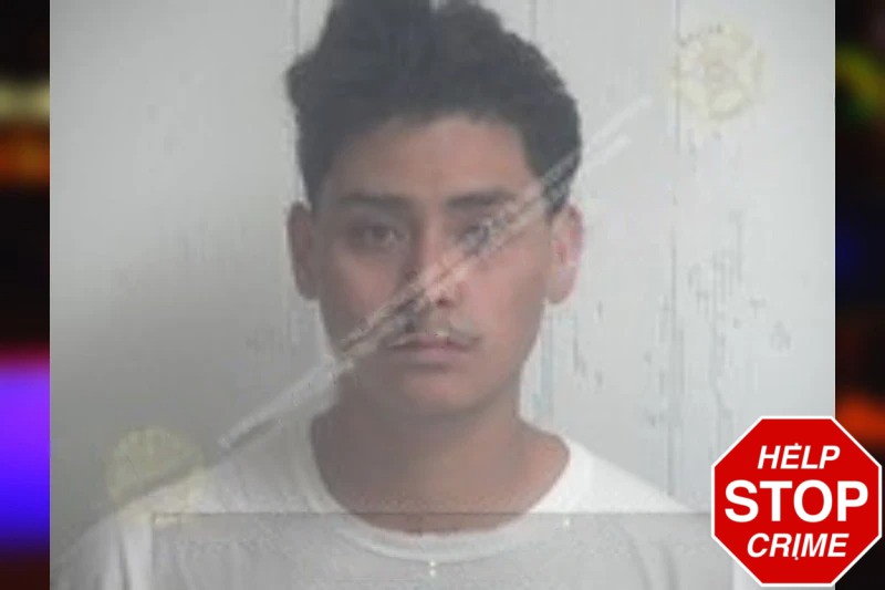 Irvin Toribio Mugshots