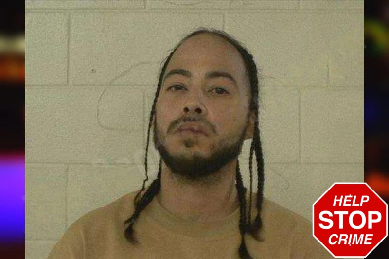 Irvison Perez Fernandez Mugshots