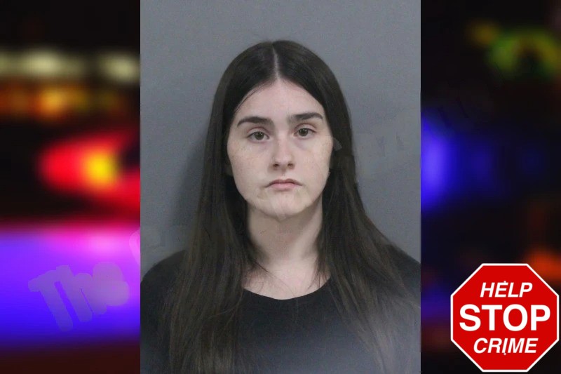 Isabela Viruet Mugshots