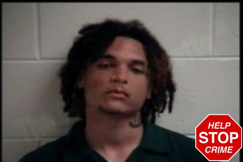 Isaiah Tapia-Roque Mugshots
