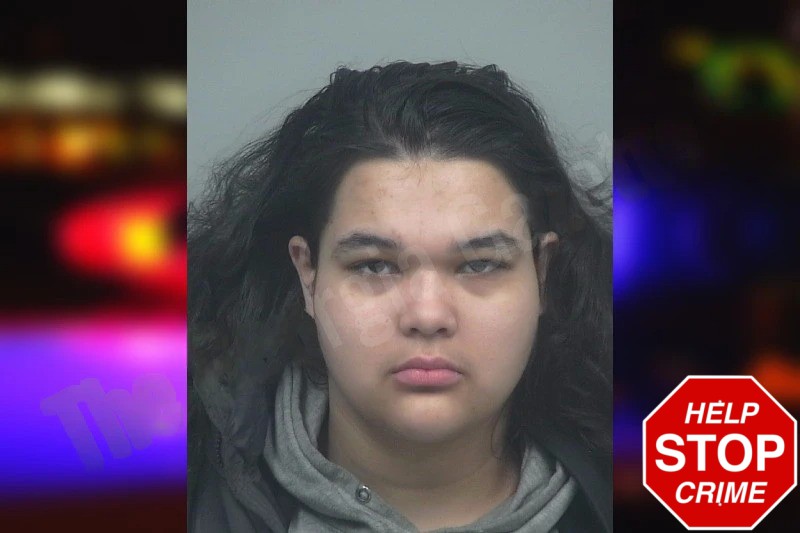 Isela Perez Mugshots