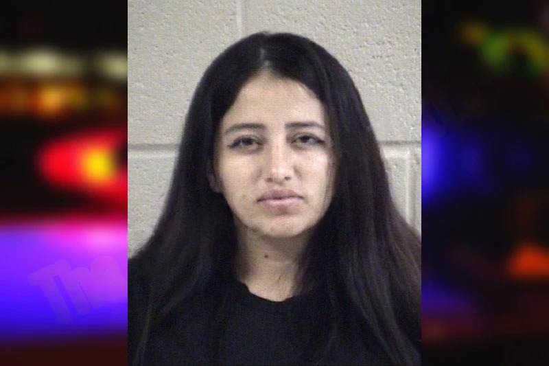 Itamar Martinez-Castro Mugshots