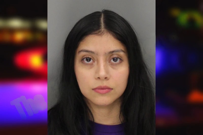 Ivonne Villegas Mugshots