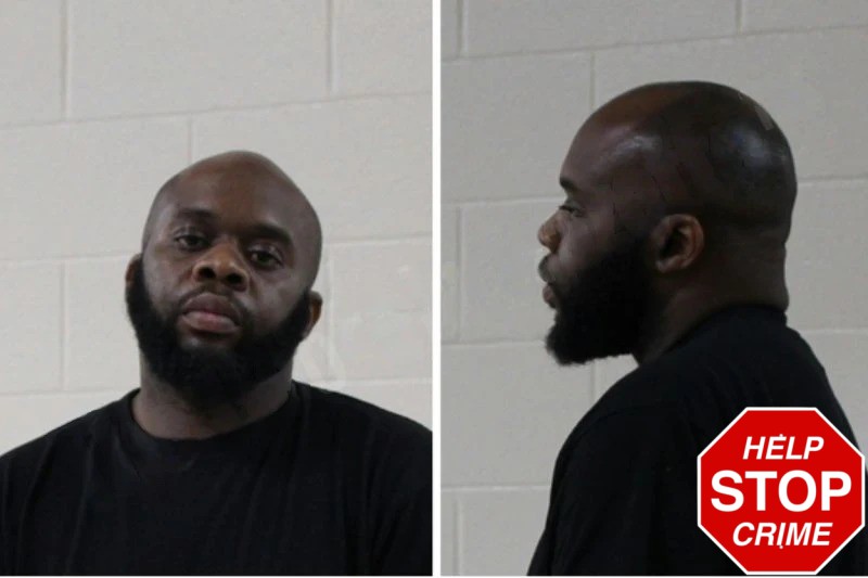 Jackie Davis Mugshots