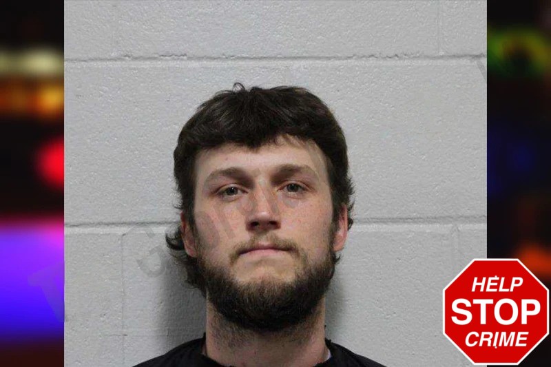 Jackson Bozeman Mugshots