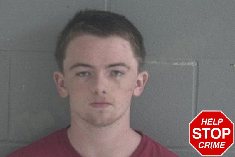 Jacob Nelson mugshot – Brantley County , Georgia Jacob Nelson mugshot