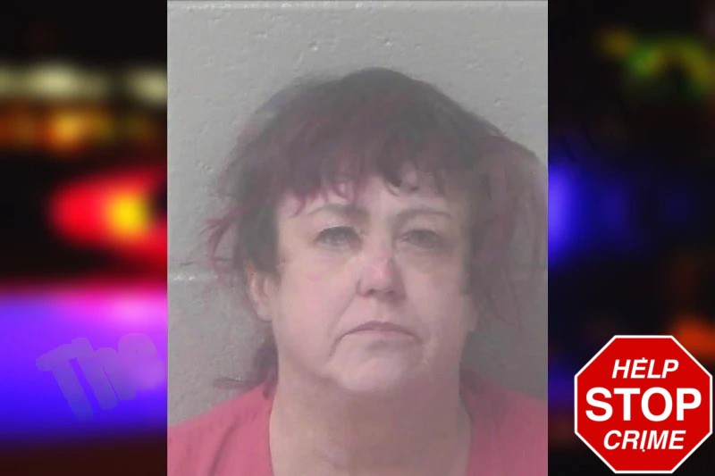 Jacquelyn Lau mugshot – Newton County , Georgia Jacquelyn Lau mugshot