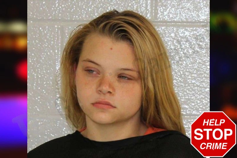 Jaicey Hudgins Mugshots