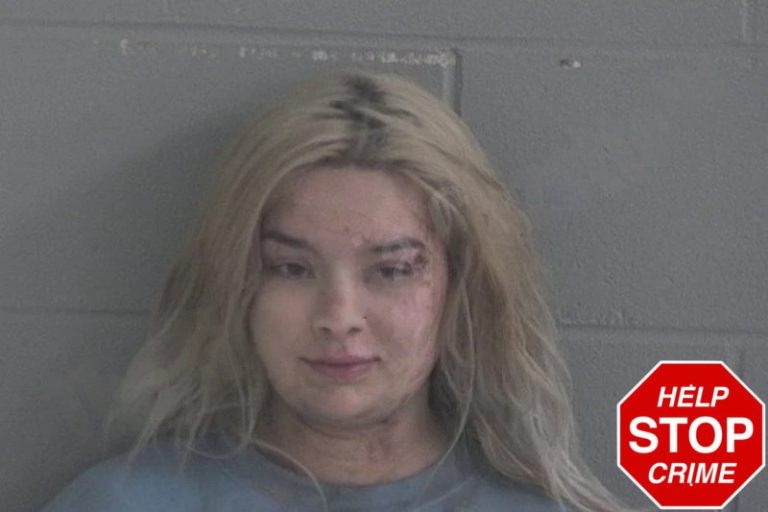 Jailyn Holland mugshot – Brantley County , Georgia Jailyn Holland