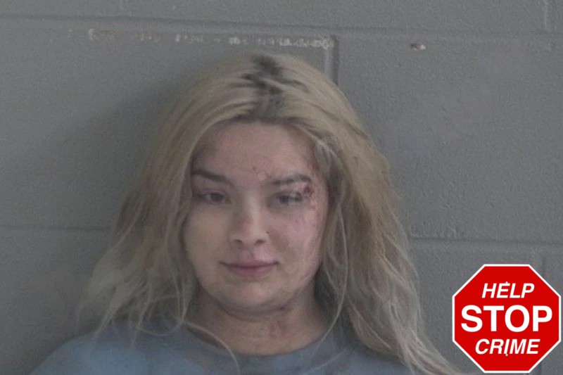 Jailyn Holland Mugshots