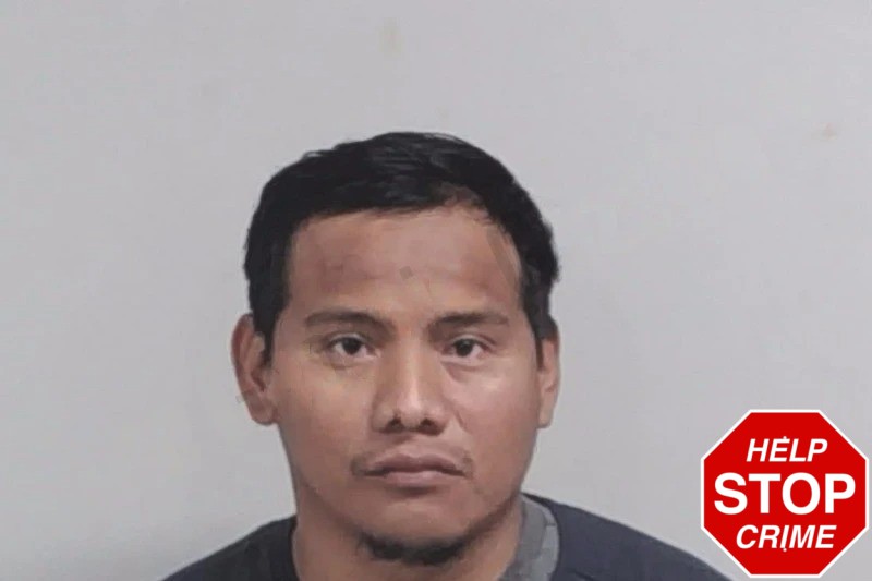 Jairo Navarro-Perez Mugshots