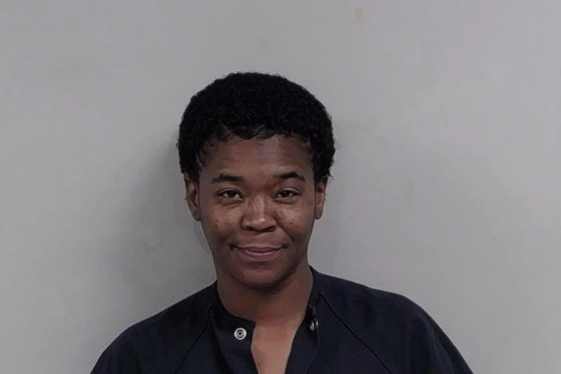 Jamecia Lewis Mugshots