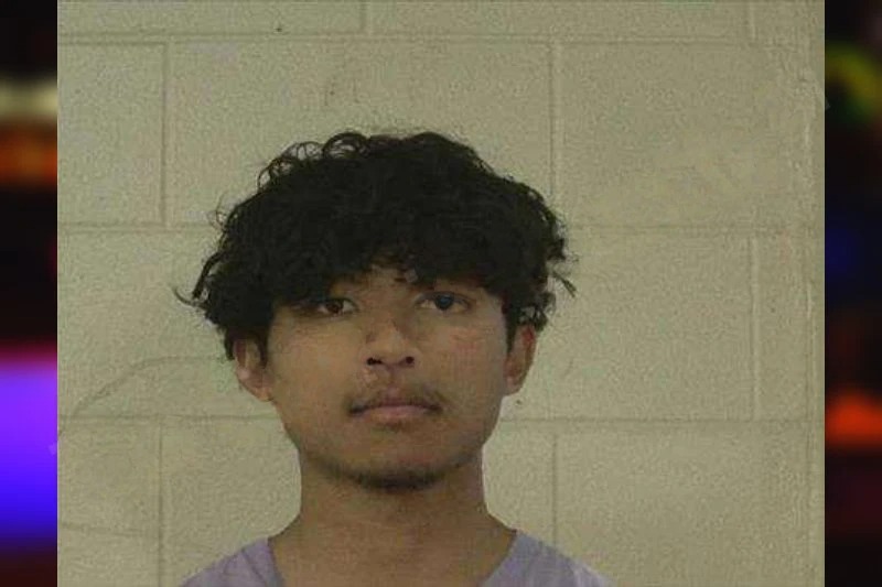 James Nguyen mugshot – Liberty County , Georgia James Nguyen mugshot