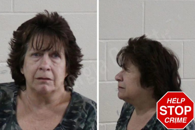 Jamie Burnette mugshot – Houston County , Georgia Jamie Burnette