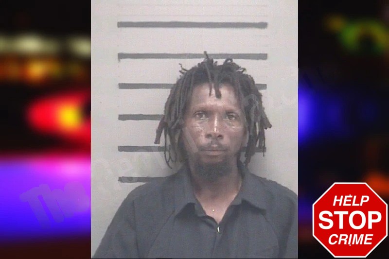 Jamie Holder mugshot – Dougherty County , Georgia Jamie Holder mugshot