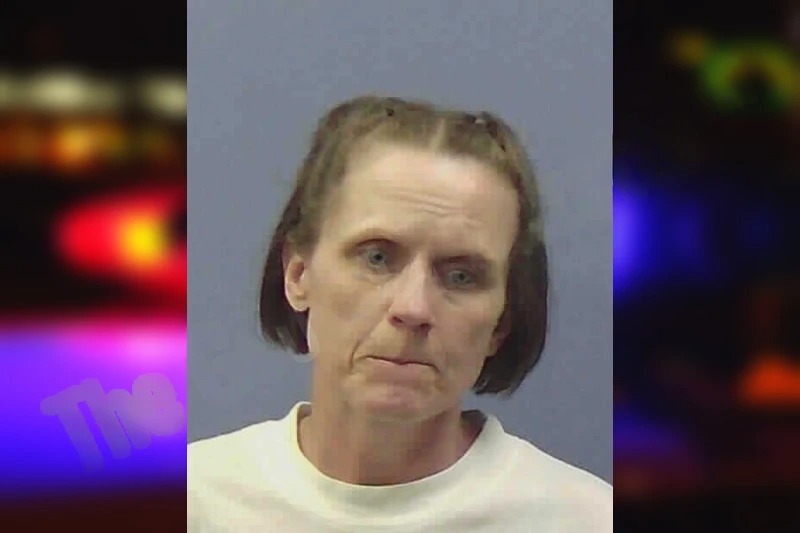 Jamie Swanson Mugshots