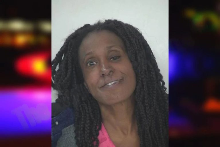 Jan Anderson mugshot – Fayette County , Georgia Jan Anderson