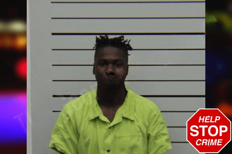 Janeious Hamilton Mugshots