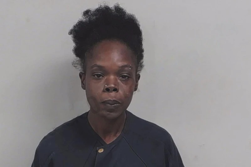 Janel McLain Mugshots