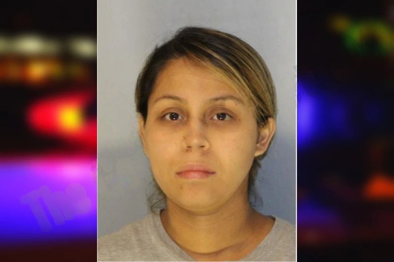 Janet Villanueva Mugshots