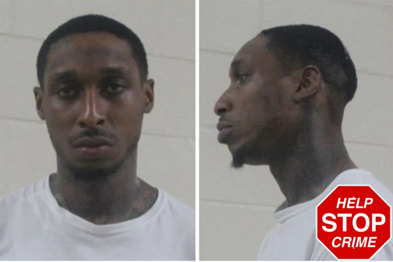 Janike Scott Mugshots