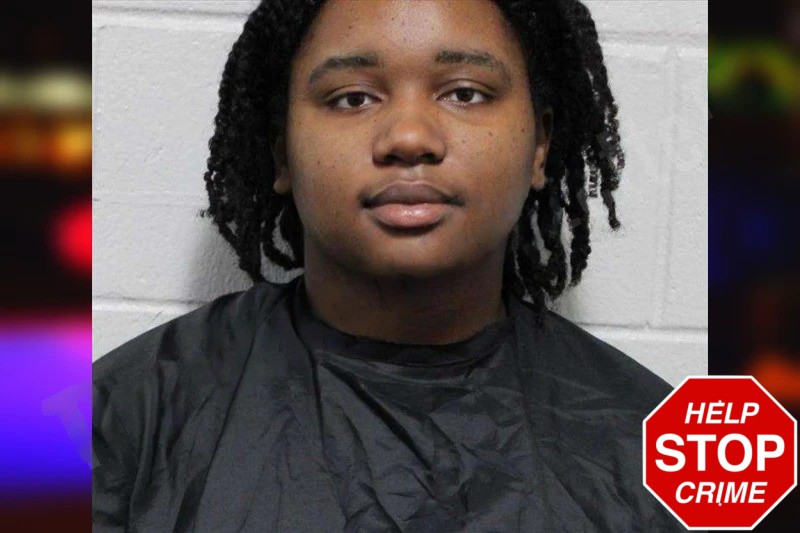 Jasmine Harris Mugshots