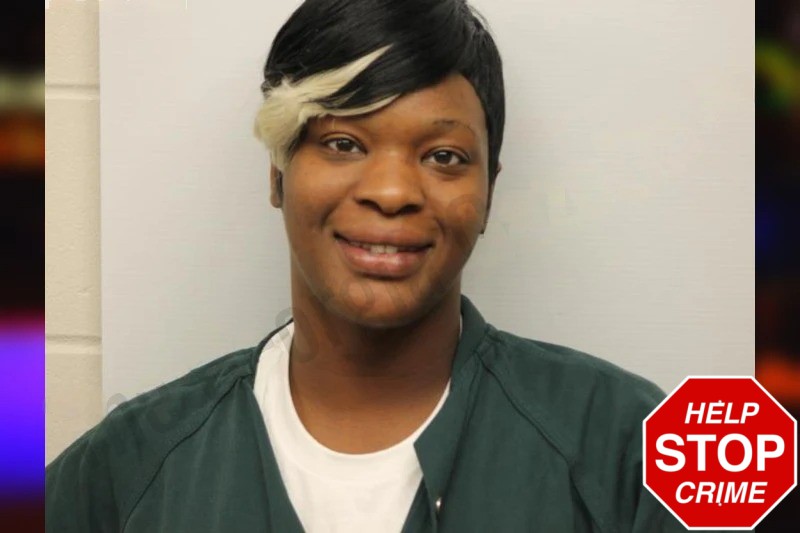 Jasmine Haynes Mugshots