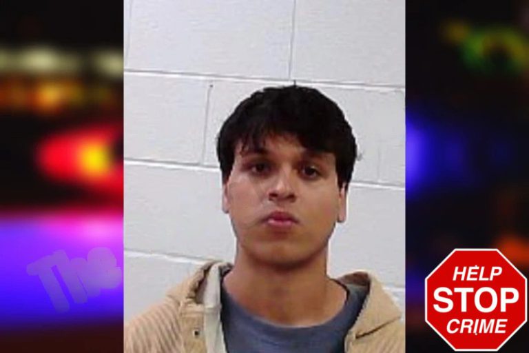 Jay Palmieri-Jagathees