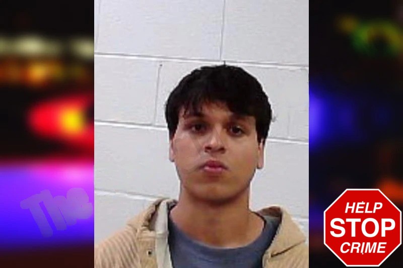 Jay Palmieri-Jagathees Mugshots