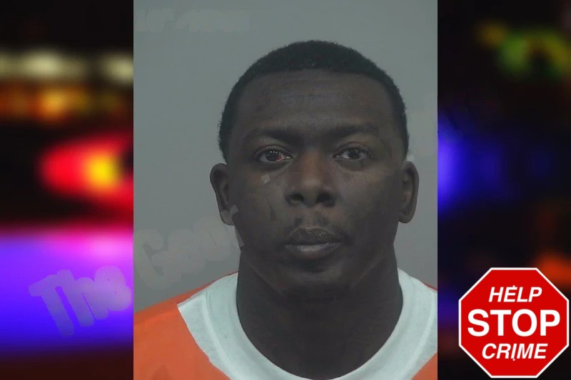 Jaylin Holsey Mugshots