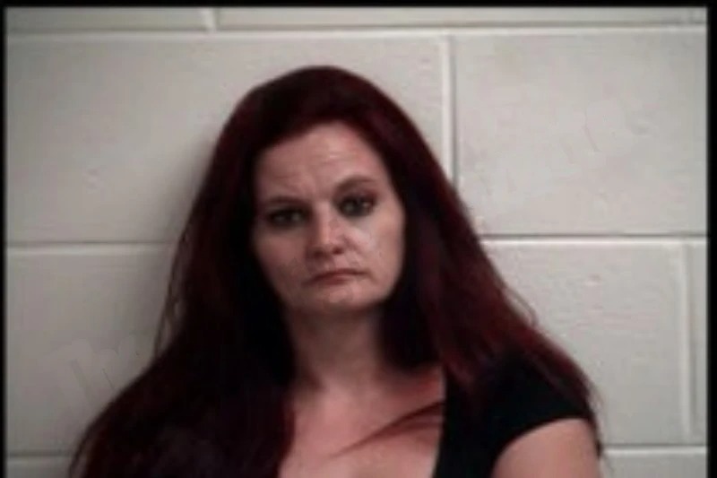 Jayme Lively mugshot